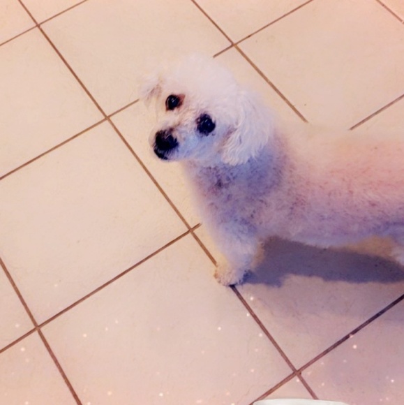 Meet your Posher, Brooke - Picture 5 of 8